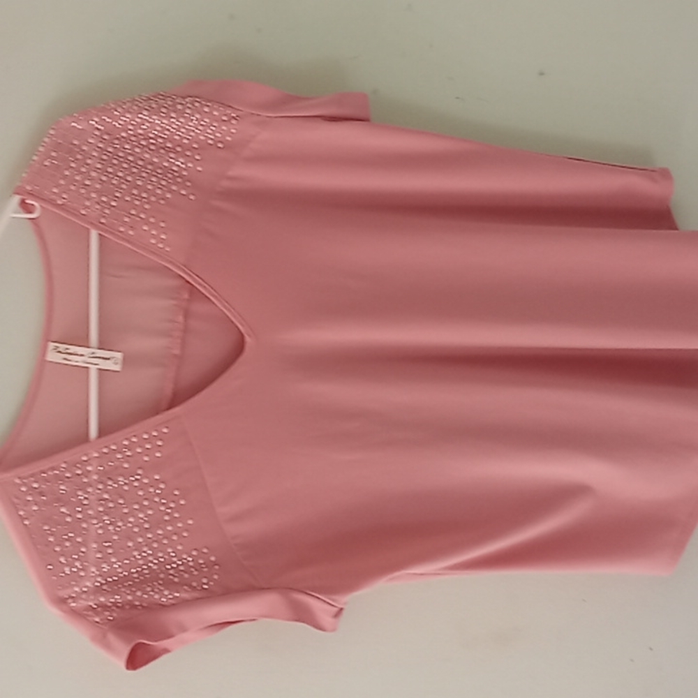 Soft Pink semi sheer top